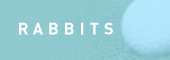 rabbitsdown